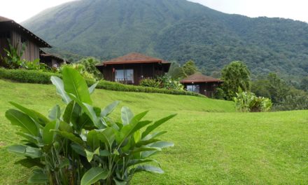Le Costa Rica, une adresse propice à des vacances de rêve